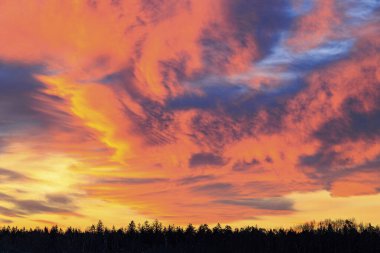 Augsburg 'un Fugger şehrinin en küçük bölgesi olan Siebenbrunn' un çayırları ve ormanları üzerinde bir kış günü parlayan kırmızı bulutlarla renkli bir gün doğumu.