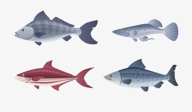 Balık karakter. Çizgi film vektör çizim