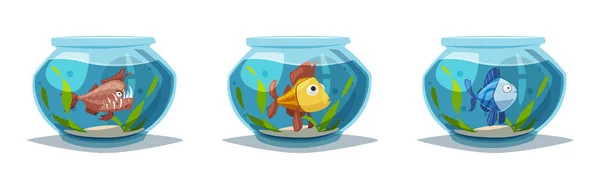 Aquarium mit klarem Wasser. Zeichentrickvektorillustration — Stockvektor