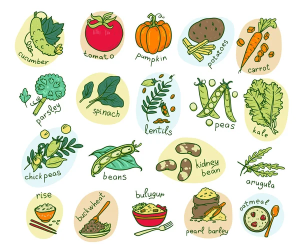 Conjunto de ilustrações vetoriais desenhadas à mão vegetal — Vetor de Stock