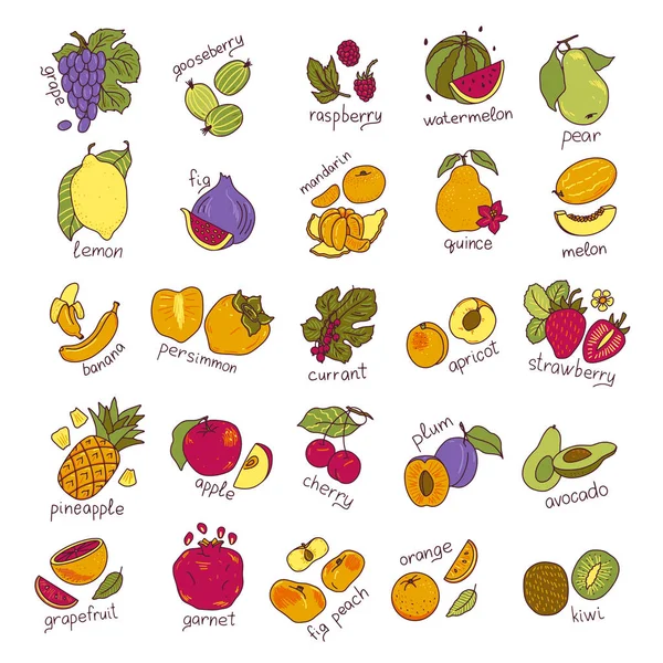 Frukt handritade vektor illustrationer som — Stock vektor