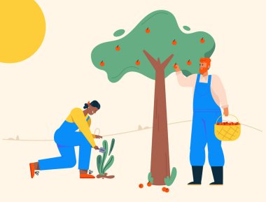 Elma toplayan adam, kadın bahçıvanlığı, çiftçiler çiftlikte çalışıyor.