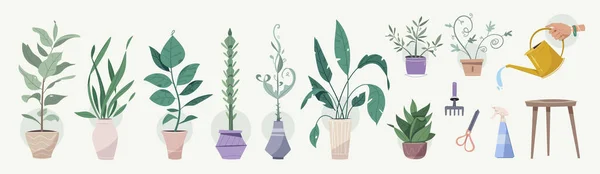Grüne Pflanzen in Töpfen, Gartengeräte setzen isolierte Objekte — Stockvektor