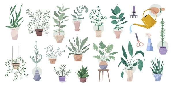 Plantes vertes dans des pots avec outils de jardinage grand ensemble — Image vectorielle