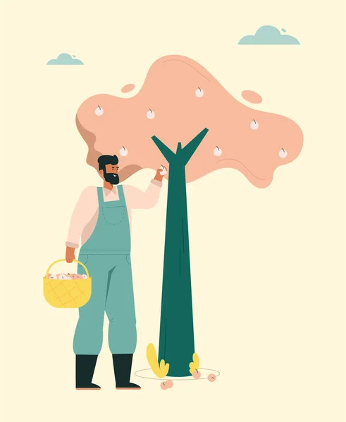 Мужчина собирает яблоки, женщина садоводство, фермеры работают на ферме — стоковый вектор