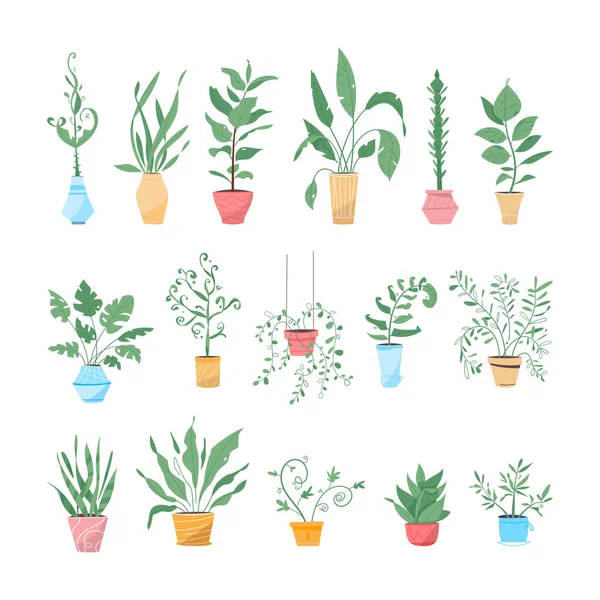 Potting trees, flowerpots hanging, plants in pots set isolated objects — Stock Vector