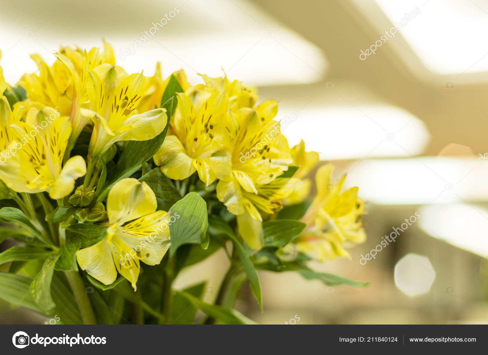 Yellow Astromelia Flower Floral Bouquet Stock Photo by ©julioricco 211840124