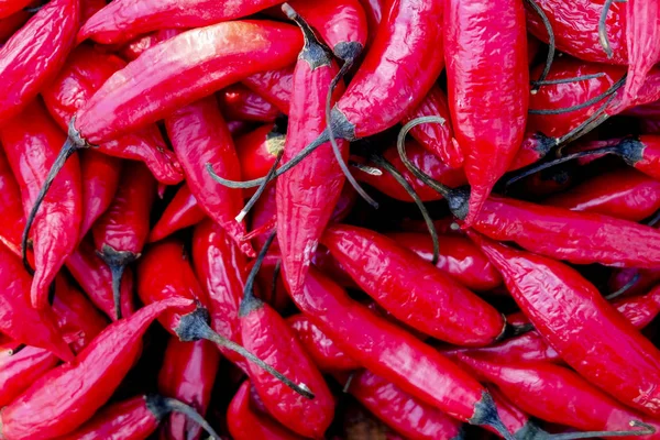 Red Chillies Background,Selective focus.