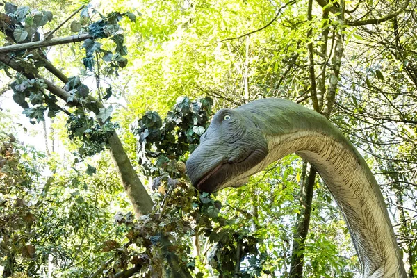 dinozor ormanda, uzun boynu için daha yüksek ağacın, kolay yeme yaprağı ile ilkel çağda yaşam yenilik duruyor