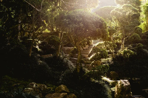 Weg Der Steine Japanischen Garten Weg Zwischen Bäumen Und Pflanzen — Stockfoto
