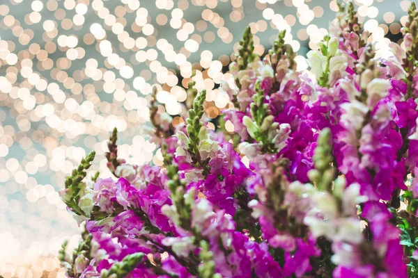 Flores Com Luzes Natal Borradas Fundo Reflexões Circulares — Fotografia de Stock