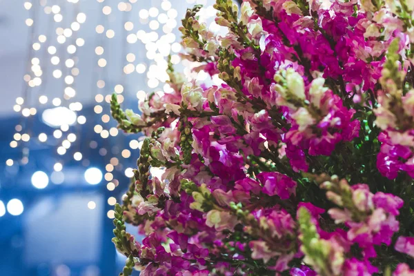 Flores Com Luzes Natal Borradas Fundo Reflexões Circulares — Fotografia de Stock