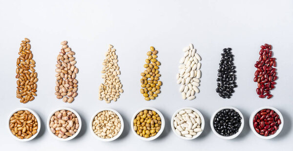 Varieties of beans on gray background.