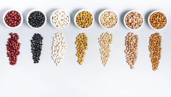 灰色の背景に豆の品種 — ストック写真