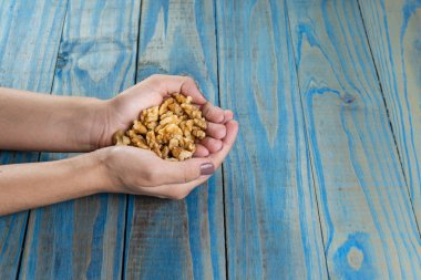 Fındık parçalar halinde. Kızarmış fındık mavi pinus arka planı destekli tutan el.
