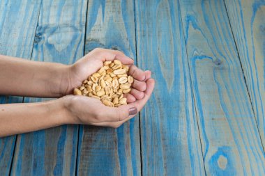 Kavrulmuş fıstık. Kavrulmuş el holding ve mavi pinus arka plan tuzlu fıstık yaslanmış.