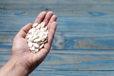 Kabak Çekirdeği mavi çam ahşap arka plan üzerinde tutarak sol el.