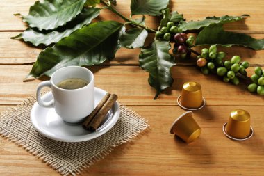 Tahta masada beyaz bir fincan sıcak kahve. Portakal ağacı çam ağacı..