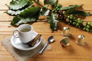 Tahta masada beyaz bir fincan sıcak kahve. Portakal ağacı çam ağacı..