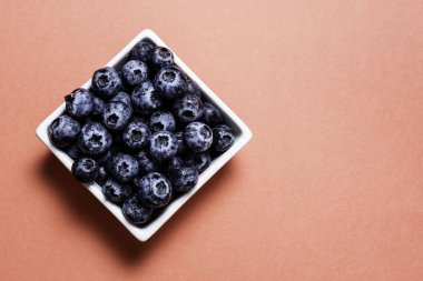 Pembe arka plan üzerinde pot içinde Taze yaban mersini.