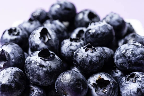 Blueberry Verse Bessen Witte Achtergrond — Stockfoto