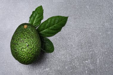 Gri arka planda yaprakları üzerinde Avokado.