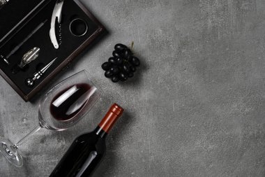 Oenoloji için aksesuarlar. Beton arka planda şarap ile Fincan. Kopyalama Alanı.