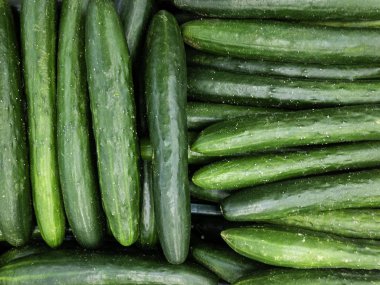 Piyasada taze temiz salatalık .