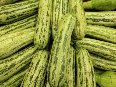 Piyasada taze temiz kabak.