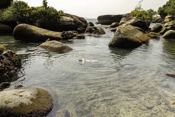 Beau Modèle Flottant Sur Piscine Naturelle Trindade Rio Janeiro Brésil — Photo