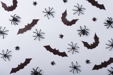 Cadılar Bayramı ve dekorasyon konsepti, çeşitli yarasalar, örümcekler ve gri arka planda sinekler..