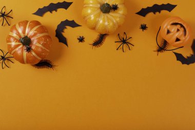 Cadılar Bayramı ve dekorasyon konsepti. Cadılar Bayramı partisi nesneleri koleksiyonu.