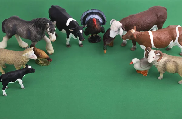 A group of farm animals stand in a circle on a green background