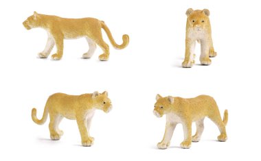 Beyaz arka plan üzerinde izole puma