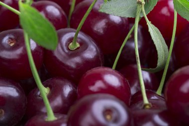 Olgun kiraz ahşap masa yakın çekim yeşil yaprakları ile beyaz tabak