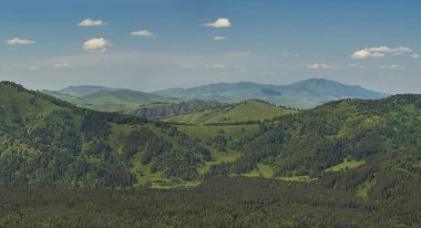 Yeşil orman üstten görünüm uçaktan kaplı dağların üzerinde yukarıdan Panorama görünüm