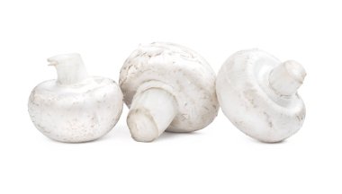 Beyaz arka plan üzerinde izole petrol grubu