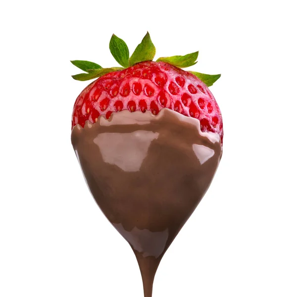 Fondue Strawberry Soaked Hot Black Chocolate Fork Isolated White Background — Stock Photo, Image