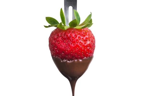 Fondue Fraise Trempée Dans Chocolat Noir Chaud Sur Une Fourchette — Photo