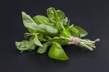 Taze fesleğen izole bir siyah arka plan üzerinde bir ip ile zımbalanmış bir çalı