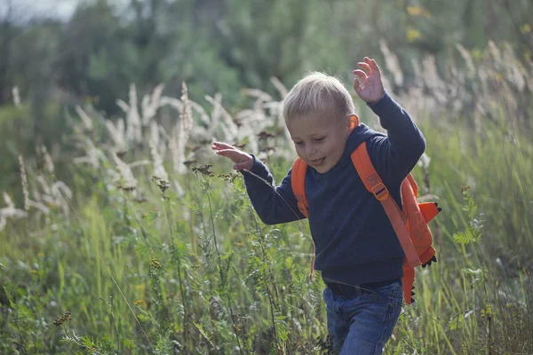 Bir yaz güneşli da bir orman yolu boyunca mutlu küçük bir çocuk bir sırt çantası ile çalışır