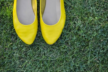 Güneşli bir yaz bir parkta yeşil çim üzerinde sarı klasik bale daireler