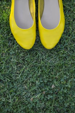 Güneşli bir yaz bir parkta yeşil çim üzerinde sarı klasik bale daireler