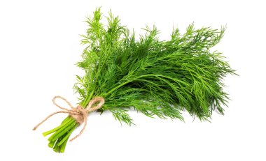 Taze dereotu beyaz arka plan üzerinde izole iple sargılı buket