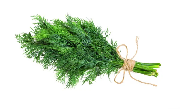 Bouquet Von Frischem Dill Mit Seil Auf Weißem Hintergrund Isoliert — Stockfoto