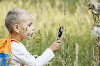 Küçük bir çocuk olan Büyüteç araştırıyor bitkiler ve böcekler, flora ve fauna güneşli bir günde bir çayır üzerinde