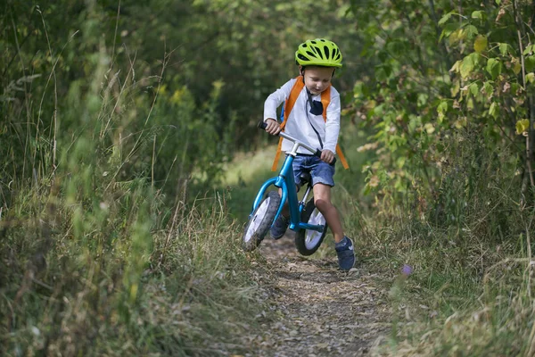 Menino Uma Bicicleta Equilíbrio Executa Salto Caminho Floresta Dia Ensolarado — Fotografia de Stock