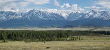 Panorama bir dağ yolda yeşil tepeler ve yüksek karlı dağlar