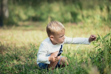 Küçük bir çocuk olan Büyüteç araştırıyor bitkiler ve böcekler, flora ve fauna güneşli bir günde bir çayır üzerinde