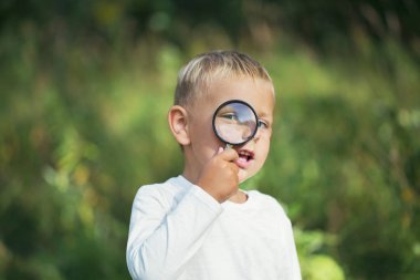 Küçük bir çocuk olan Büyüteç araştırıyor bitkiler ve böcekler, flora ve fauna güneşli bir günde bir çayır üzerinde
